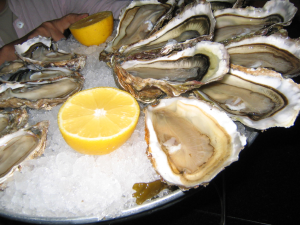 oyster in Bordeaux